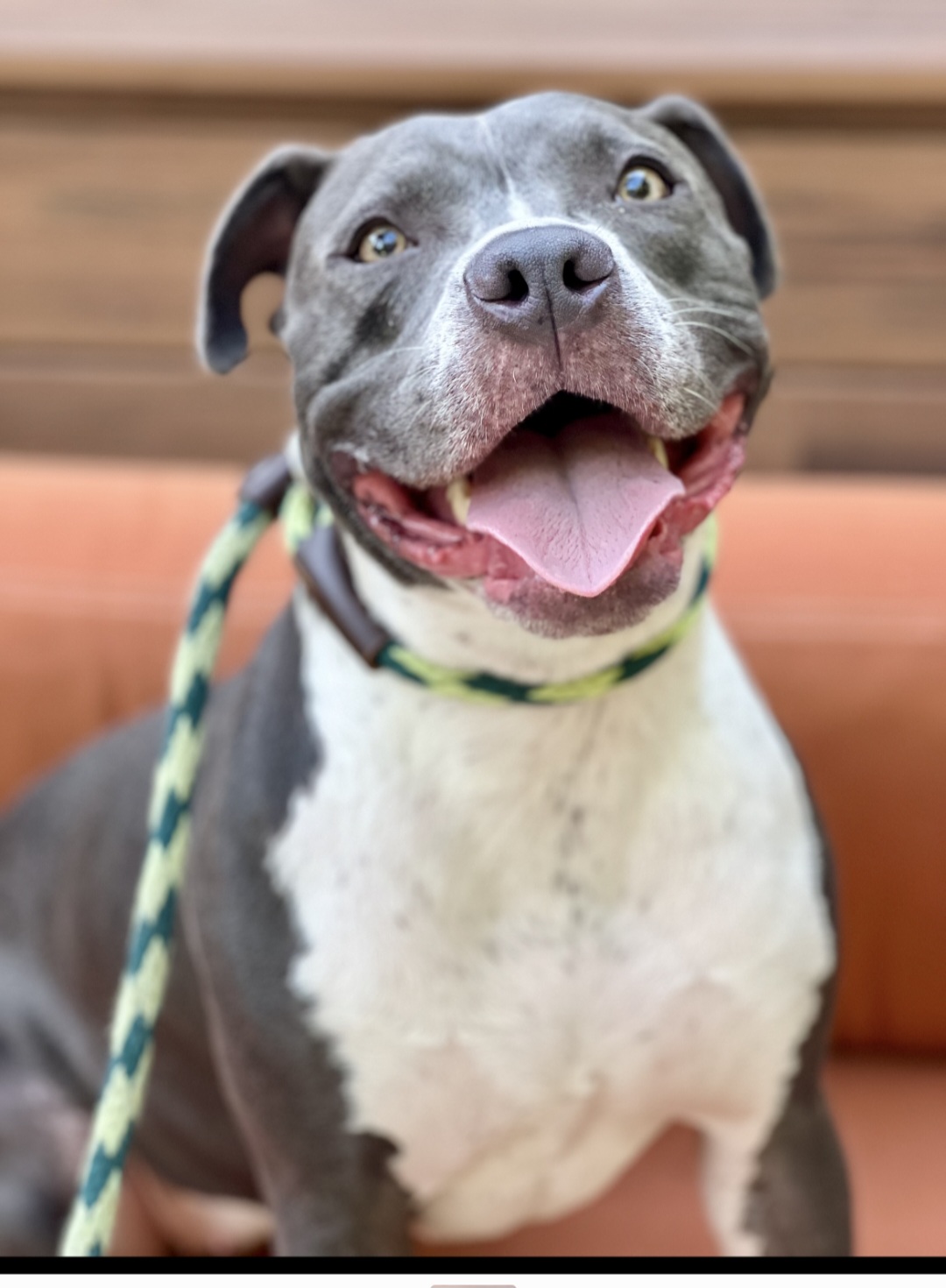 Ruby loves everyone!